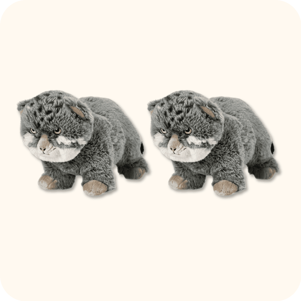 Ikea Pallas Cat 2PCS Ikea Pallas Cat 2PCS