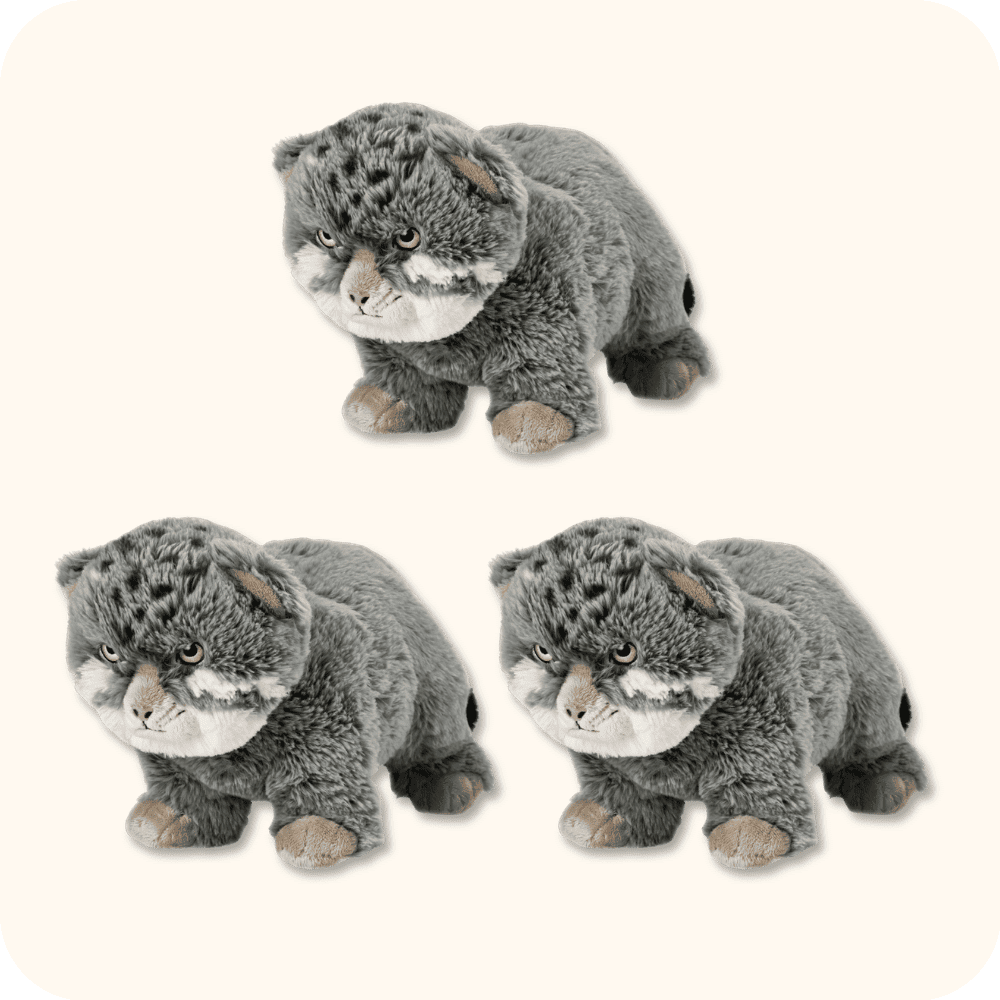 Ikea Pallas Cat 3PCS Ikea Pallas Cat 3PCS